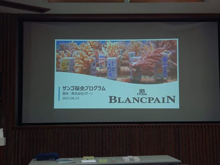 ブランパン×海洋保全プログラム