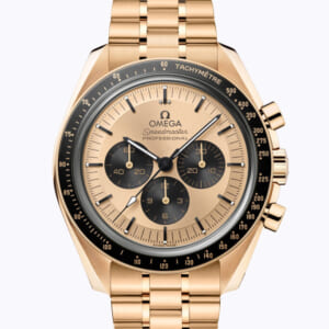 OMEGA ムーンウォッチ プロフェッショナ﻿ル オメガ コーアクシャル マスター クロノメーター 42mm 310.60.42.50.99.002